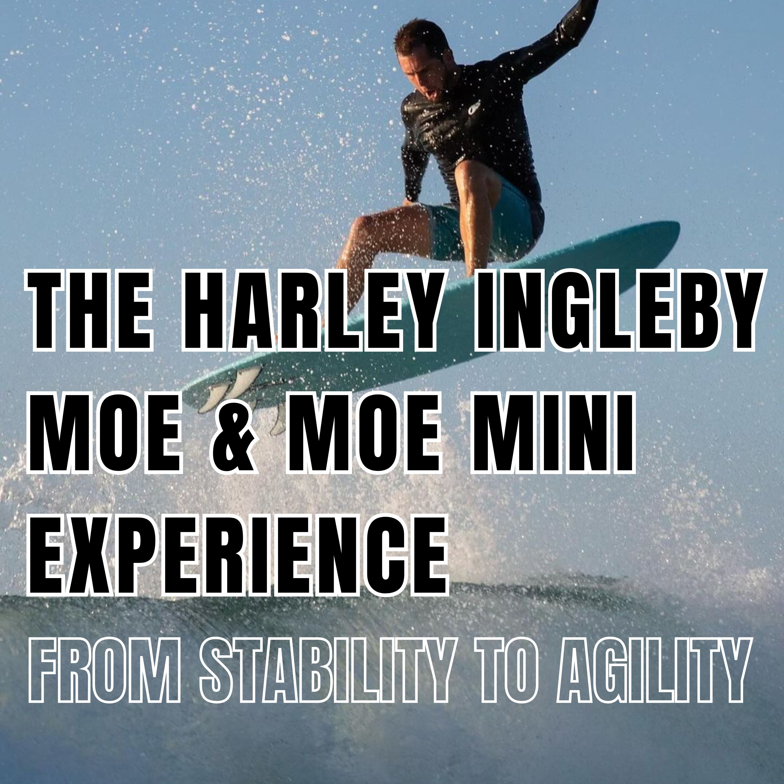 The Harley Ingleby Moe and Moe Mini Experience: From Stability to Agility