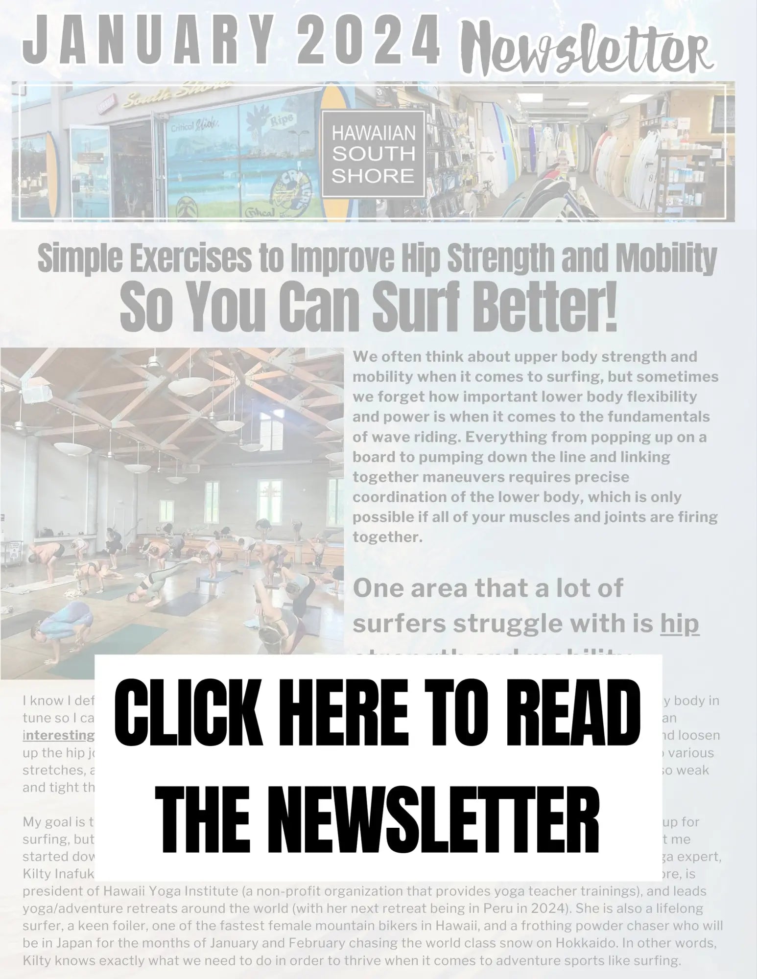 Hawaiian South Shore January 2024 Newsletter