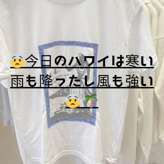 😨今日のハワイは寒い雨も降ったし風も強い😨 🌴