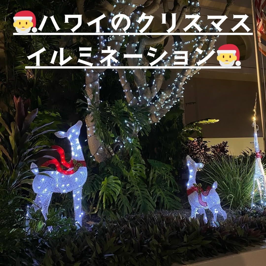 🎅ハワイのクリスマスイルミネーション🎅