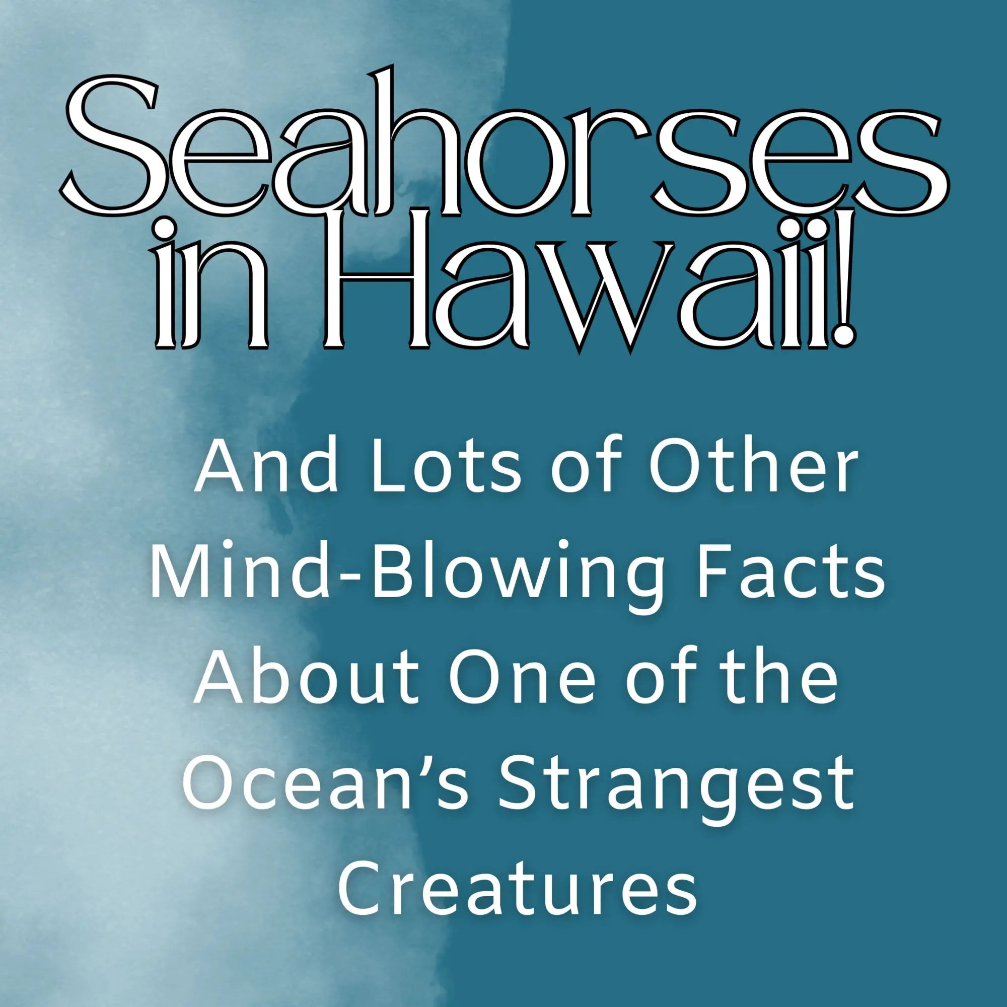 Seahorses in Hawaii! And Lots of Other Mind-Blowing Facts About One the Ocean’s Strangest Creatures