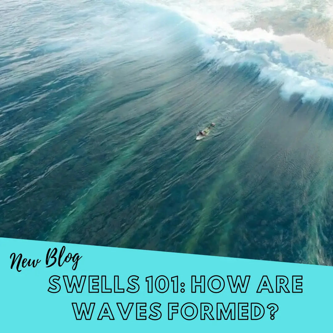 swells-101-how-are-waves-formed-hawaiian-south-shore