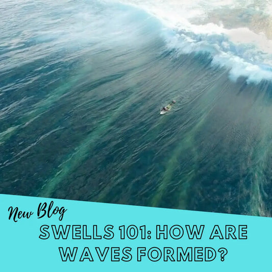 Swells 101: How Are Waves Formed?