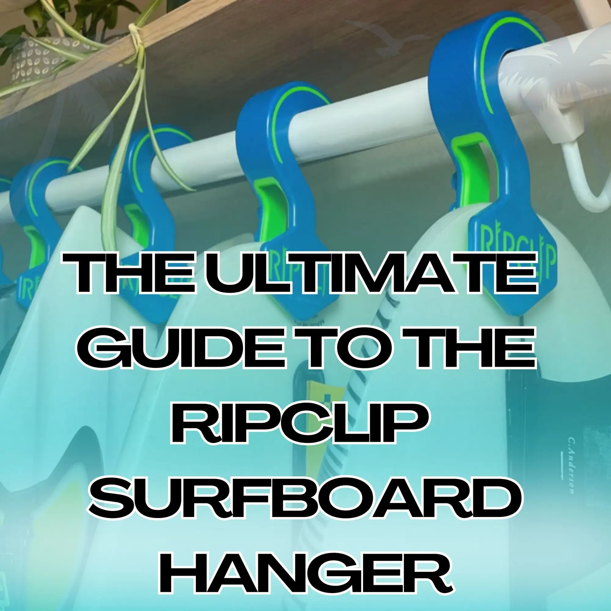 The Ultimate Guide to the RipClip Surfboard Hanger