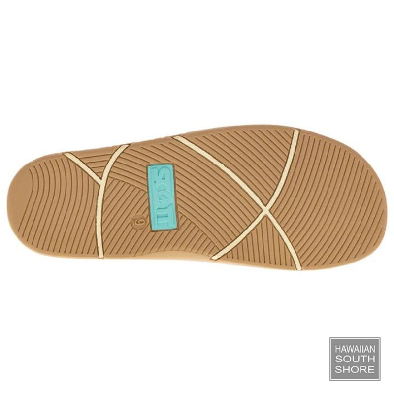 Scott Sandal/ Pelagic Ahi 8"-11" Sandal - FOOTWEAR - [Surfboards Surf Shop and Clothing Boutique Honolulu]