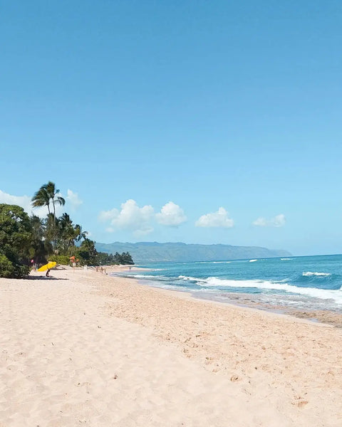 Ehukai Beach