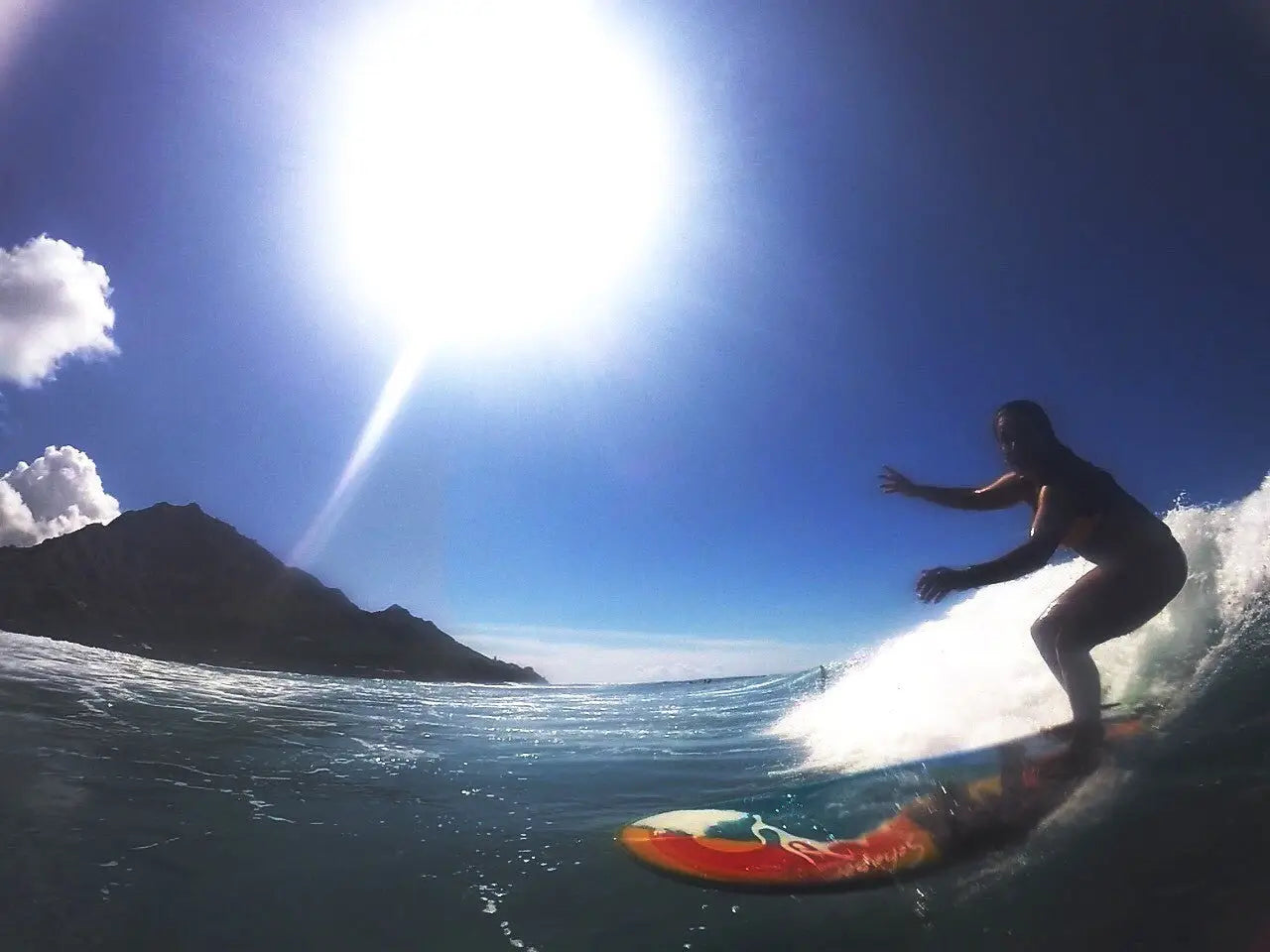 Shark Attack on the North Shore