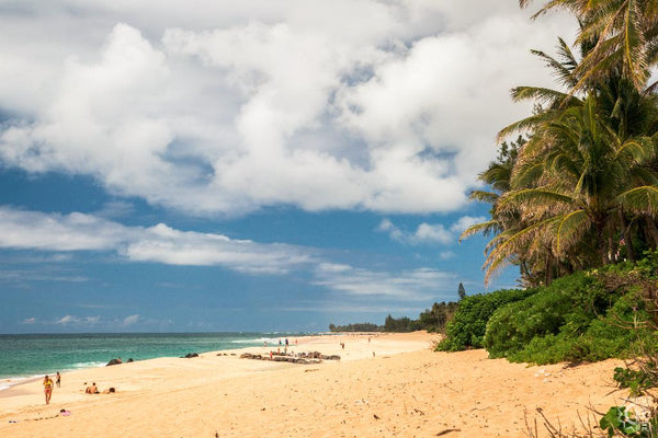 Log Cabins Hawaii