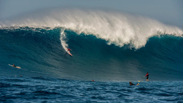 North shore swell