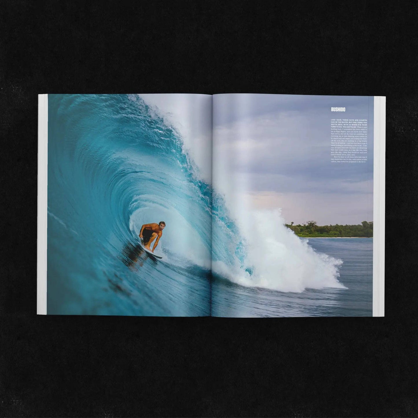 LOST BOOK THE LAST CRUSADE - SHOP SURF ACC. - [Surfboards Surf Shop and Clothing Boutique Honolulu]