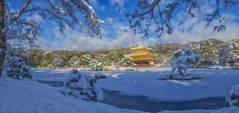 日本はまたまた大寒波が今日からとニュースで聞きました 雪も怖いですね