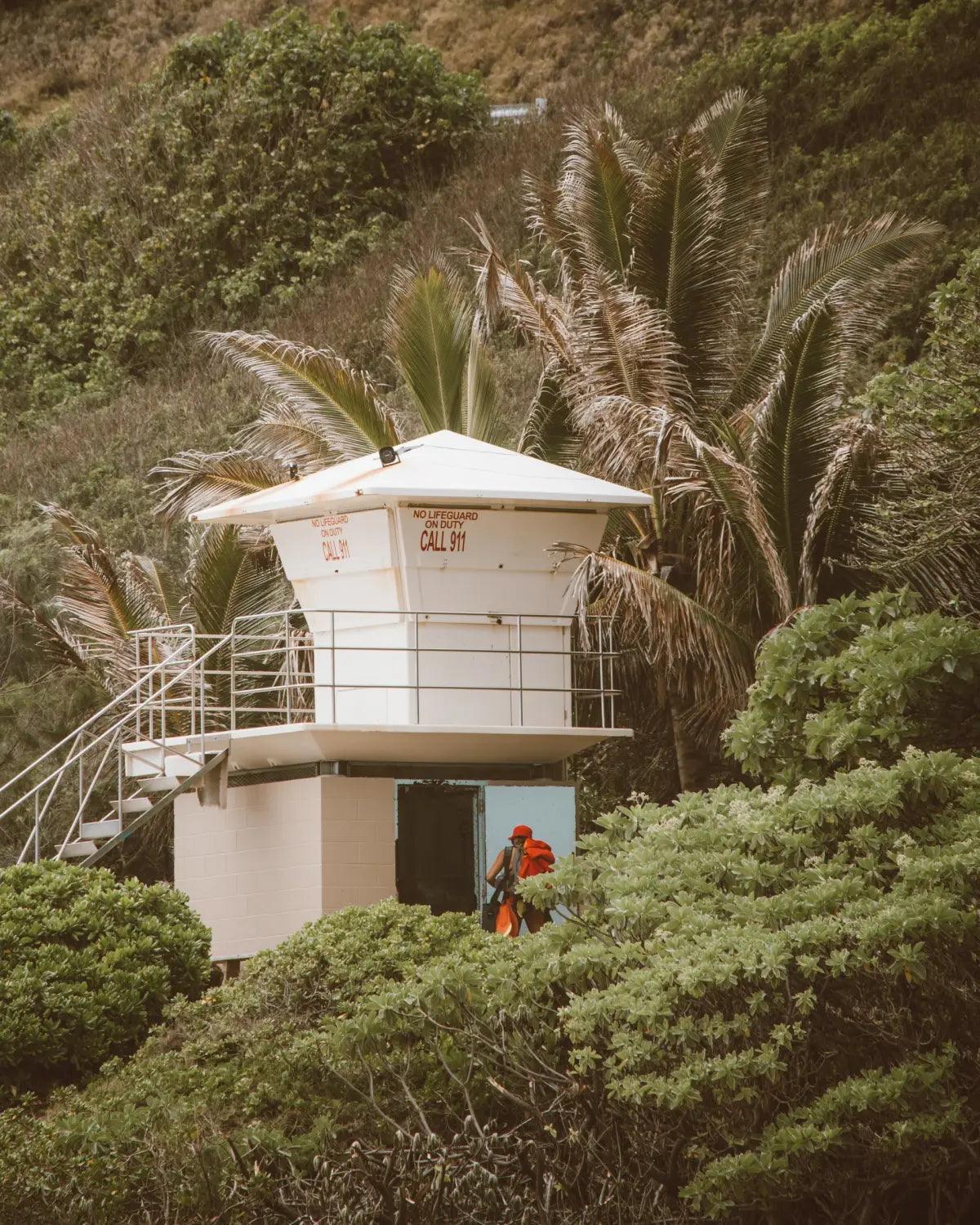 Hawaii LifeGuard