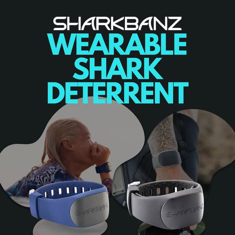 Sharkbanz